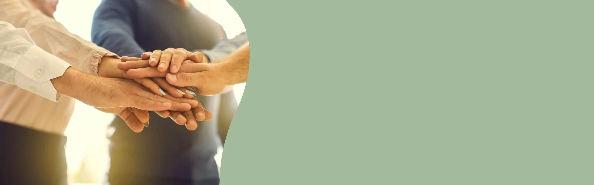 Viszonteladói program