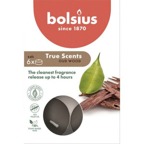Bolsius illatos teamécses 4 órás - Oud Wood, 6 db