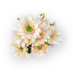 Gerbera csokor - 9 ágú - Barack