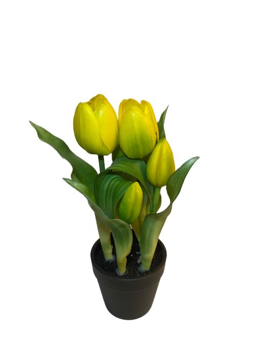 Cserepes tulipán - sárga