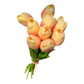 Tulipán csokor - 9 szál - Barack