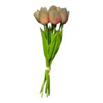 Tulipán csokor - 9 szál - Barack