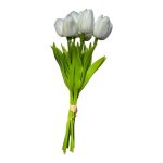 Tulipán csokor - 9 szál - Fehér