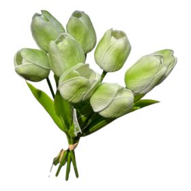 Tulipán csokor - 9 szál - Zöld